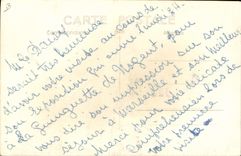 VINTAGE POSTCARD Dwarf Dwarves Van Gogh Sunflowers