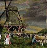 VINTAGE POSTCARD Windmill Cow