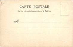 VINTAGE POSTCARD Fantasy Illustrator the Eaglet