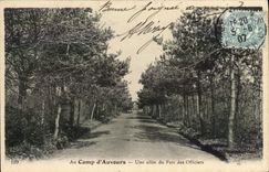 VINTAGE POSTCARD Militaria With the camp of Auvours an alley of the park of the officers