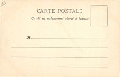 CPA Militaria Revue des Reservistes de la 11eme division 1899