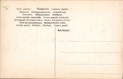 VINTAGE POSTCARD Fantasy Woman the charming lady of birds