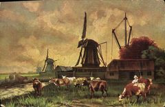 CPA Moulin a vent Vaches 