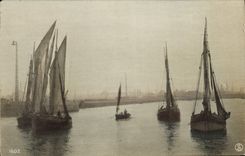 VINTAGE POSTCARD Bateau Fishes (chart toilee)