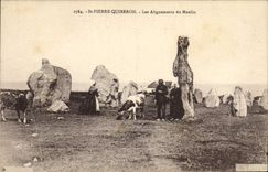 CPA Dolmen Menhir St Pierre Quiberon Les alignements du moulin Vaches 