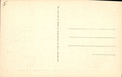 CPA Napoleon 1er Bonaparte presente l'olivier de la Paix a toutes les Puissances de l'Europe 