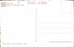 Parakeet de la mujer del ilustrador de la fantasía de la POSTAL de la VENDIMIA