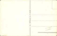 Pájaro del niño del ilustrador de la fantasía de la POSTAL de la VENDIMIA