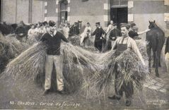 VINTAGE POSTCARD Militaria Dragons Camp of fodder