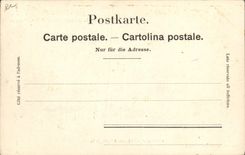 CPA Cartes Postales Specimen Bergeret Nancy Neuchatel Chateau et collegiale Suisse