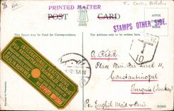 VINTAGE POSTCARD Postcards National Park Sydney NSW Australia