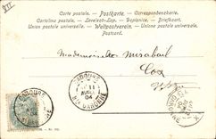 VINTAGE POSTCARD Against the light Children Cat