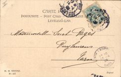 VINTAGE POSTCARD Fantasy Woman Children Chinese Shade Hen