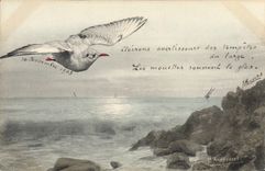 VINTAGE POSTCARD Fantasy Illustrator Bird