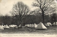 VINTAGE POSTCARD Seventh veterinary hospital Winter Wuarters France view off the Veterinary camp