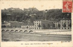 VINTAGE POSTCARD Lyon Quay Veterinary Pierre Sixteen School