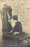 CPA Chat Chats Chaton Souris Ne l'aura pas !