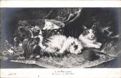 CPA Chat Chats Chaton J Le Roy Au repos 