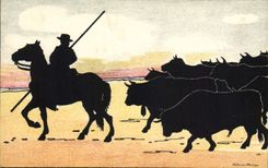 CPA Contre la lumiere Corrida Taureau