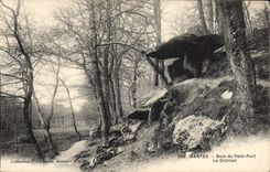 VINTAGE POSTCARD Dolmen Menhir Nantes Wood of the Small Port