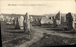 CPA Dolmen Menhir Carnac Vue generale des alignements de Kermario