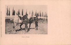 CPA Militaria Pied a terre Cheval