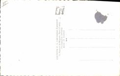 POSTAL MODERNA cine Virginia Mayo