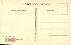 VINTAGE POSTCARD Fantasy Boirau Illustrator In Africa the madeira sauce