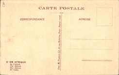 VINTAGE POSTCARD Fantasy Boirau Illustrator In Africa the cockroach