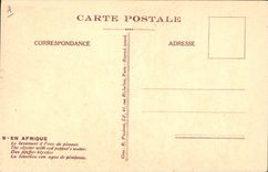 VINTAGE POSTCARD Fantasy Boirau Illustrator In Africa launching with the pepper water