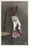 CPA Chat Chats Chaton Mimi a vendre