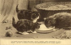 CPA Chat Chats Chaton 