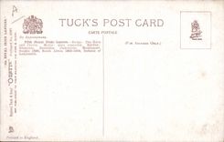 VINTAGE POSTCARD Militaria 5th Royal Irish Throws