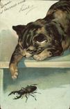 CPA Chat Chats Chaton Insecte
