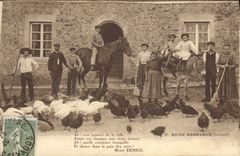 VINTAGE POSTCARD Folklore Normandy Ass mule Horse