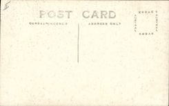 MODERN CARD Wallaby At Jen Cellars NSW Australia