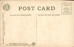 VINTAGE POSTCARD East African Wart Hog New York Zoological park Zoo