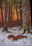 VINTAGE POSTCARD Foxes