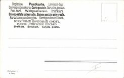 VINTAGE POSTCARD Foxes