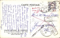 CPA Singe Lemurien