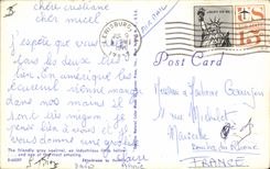 CPAM Squirrel Squirrel