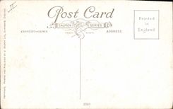 VINTAGE POSTCARD Camel