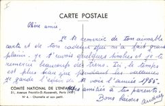 CPA Chameau Chamelle et son petit