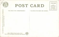 VINTAGE POSTCARD New York zoological Park South American Tapir