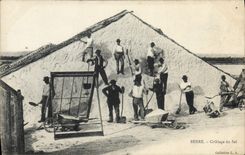 CPA Berre Criblage du sel TOP