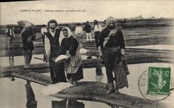 CPA Carnac Plage Marais salants La releve du sel TOP