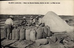 VINTAGE POSTCARD Batz In the salt-water marshes Collects salt the bagging TOP