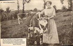 CPA Folklore Femme Vache Normandie