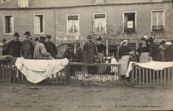 VINTAGE POSTCARD Normandy Folklore the life Norman the exposure of small pigs TOP