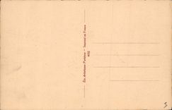 VINTAGE POSTCARD Fantasy Illustrator the Narcisse